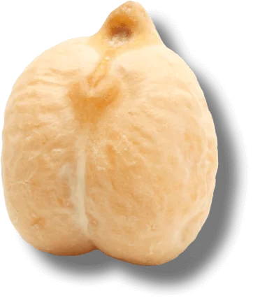 Conventional chickpeas