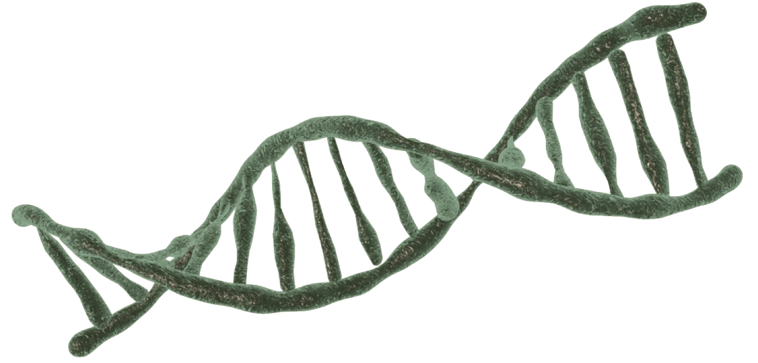 NuCicer Innovation Platform