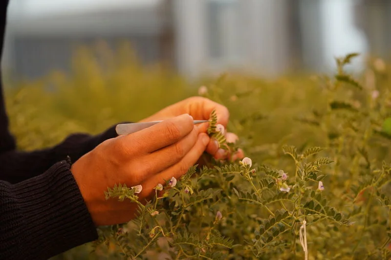 Bespoke Trait Packages